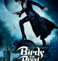 Birds Of Prey (2002-2003)