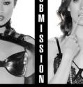 Submission (2016-)