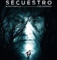 Boy Missing (2016)