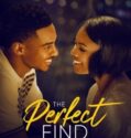 THE PERFECT FIND (2023)