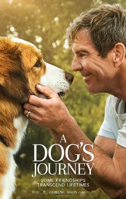 A DOG’S JOURNEY (2019) tainies Online | anime movies series A DOG’S JOURNEY (2019) ταινιες online seires xrysoi greek subs